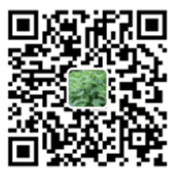 公司公众号